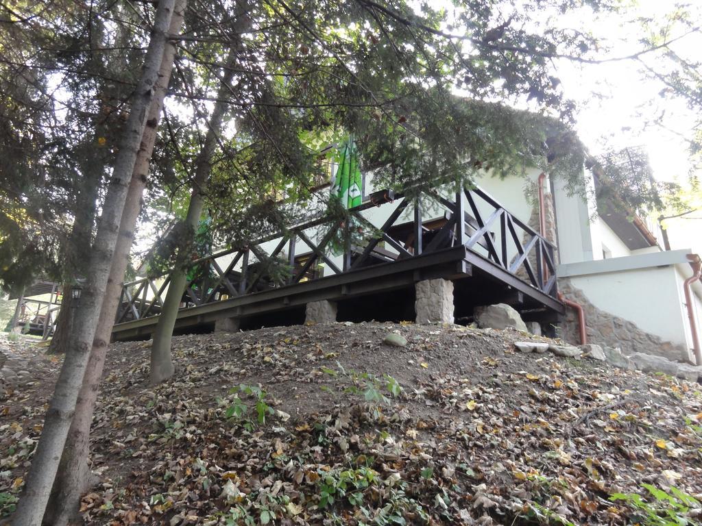 Bystrzyca Górna Chata Nad Sztolnia מראה חיצוני תמונה